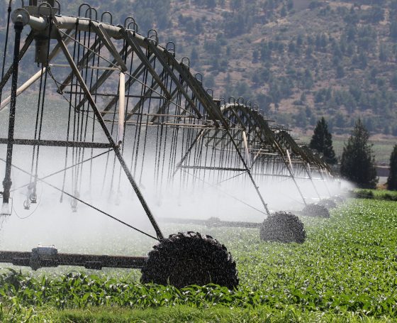 irrigation-6986021_1920